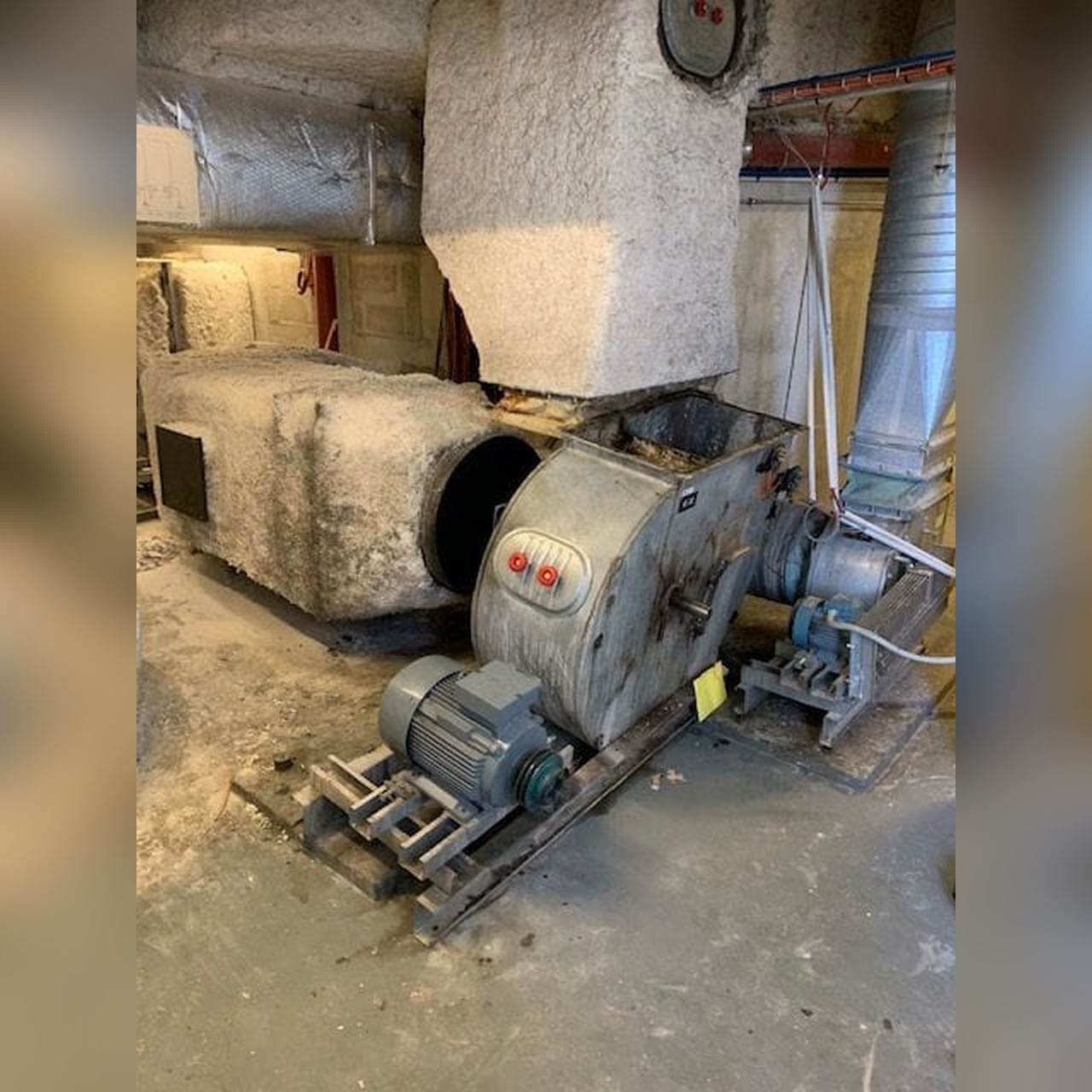 IMG_8724-1-e1552508289701 (Copier)