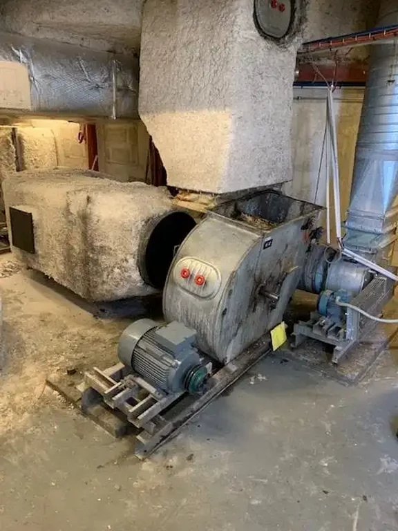 IMG_8724-e1552507690758 (Copier)