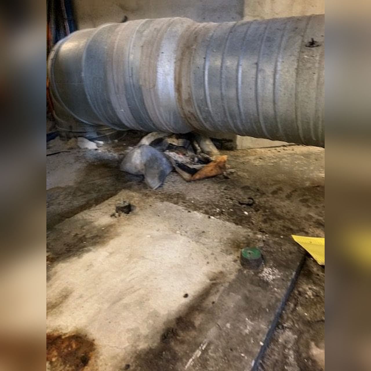 IMG_8726-e1552508297237 (Copier)