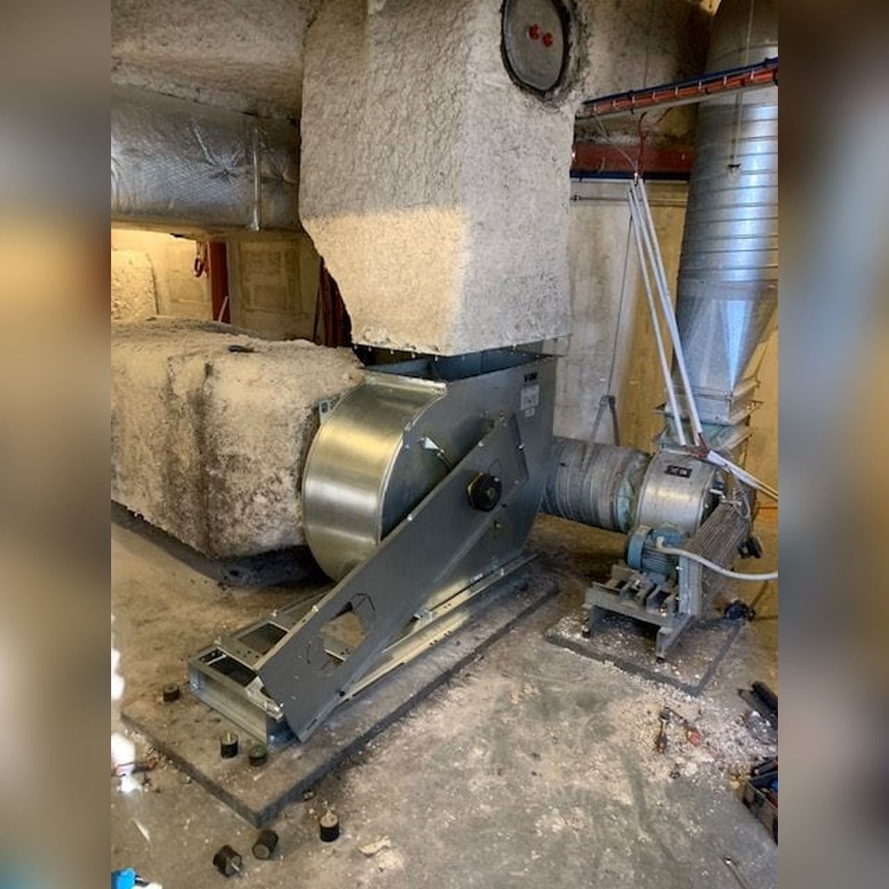 IMG_8732-e1552508378529 (Copier)